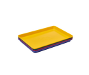 Little Sheet Rainbow