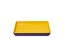 Little Sheet Rainbow