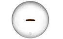Big Lid