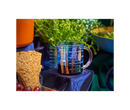 Beyond Measure 2-Cup
